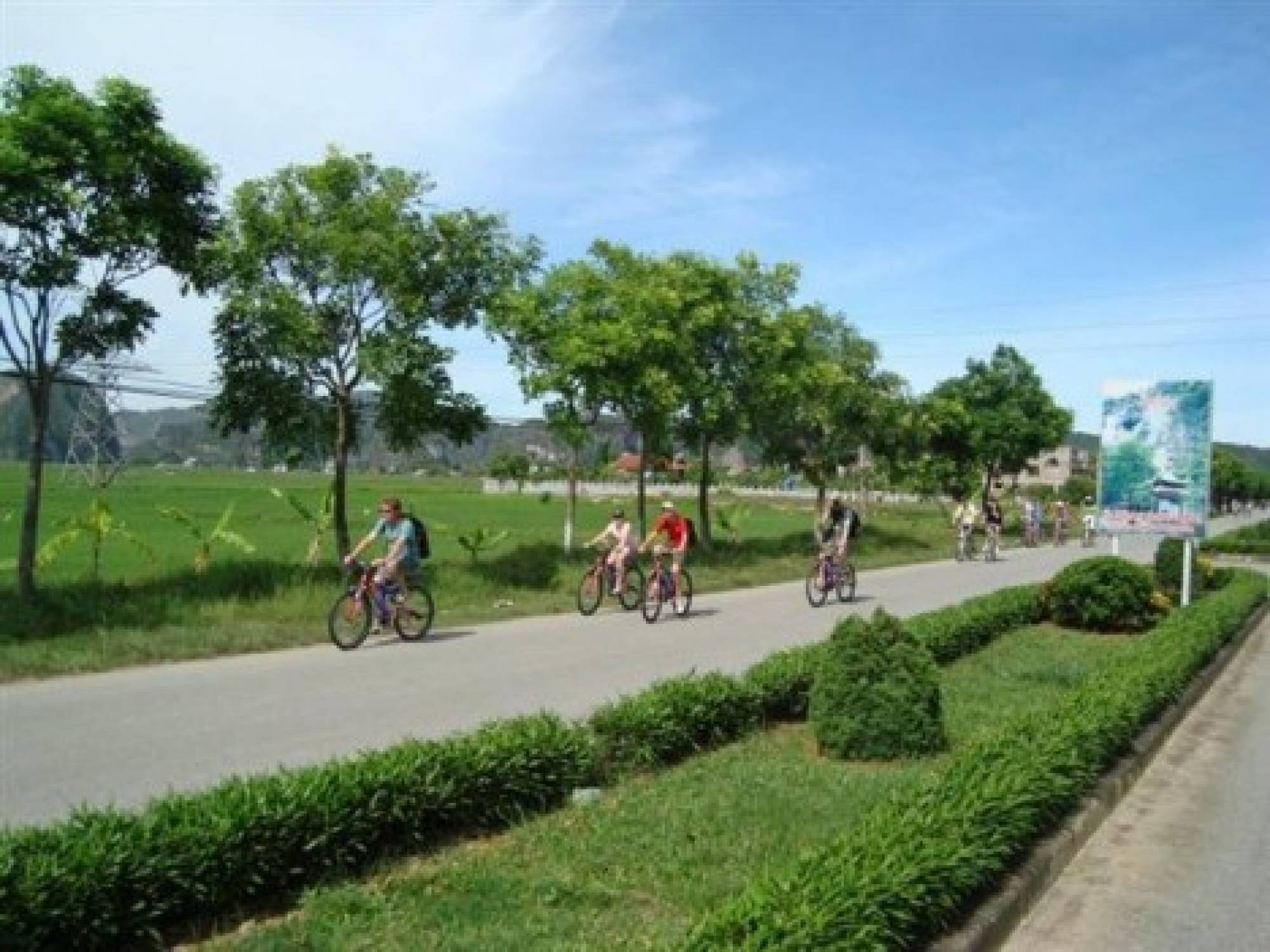 Hoa Tam Coc Full day Vietnam 24h Tour Your Timeless Travel Buddy