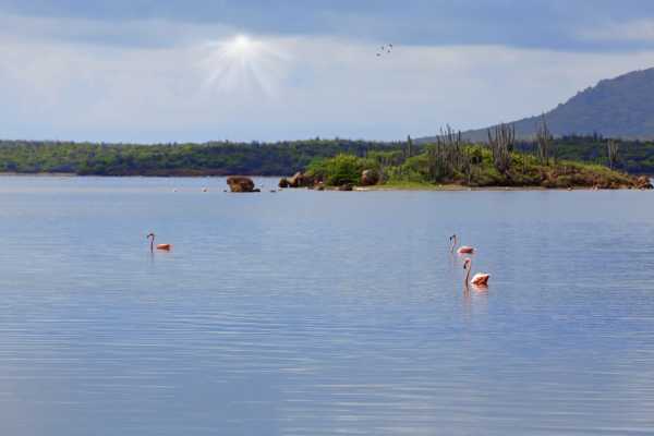 Full island tour