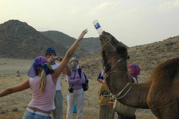 Desert Safari by Jeep 4X4 WD in Hurghada