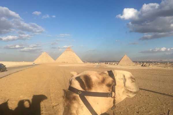 Half Day Cairo Pyramids Tour