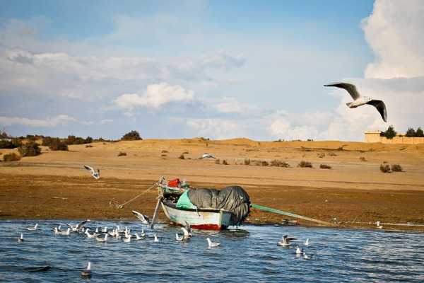 Day Tour to Fayoum Oasis and Wadi El Rayan Waterfalls