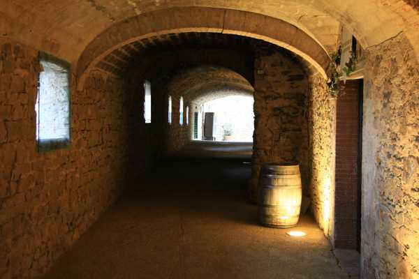 CHIANTI & WINE TOUR IN THE TUSCAN COUNTRYSIDE