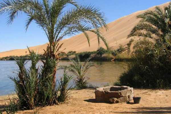 Private Bahariya Oasis and White Desert Day Tour from Cairo