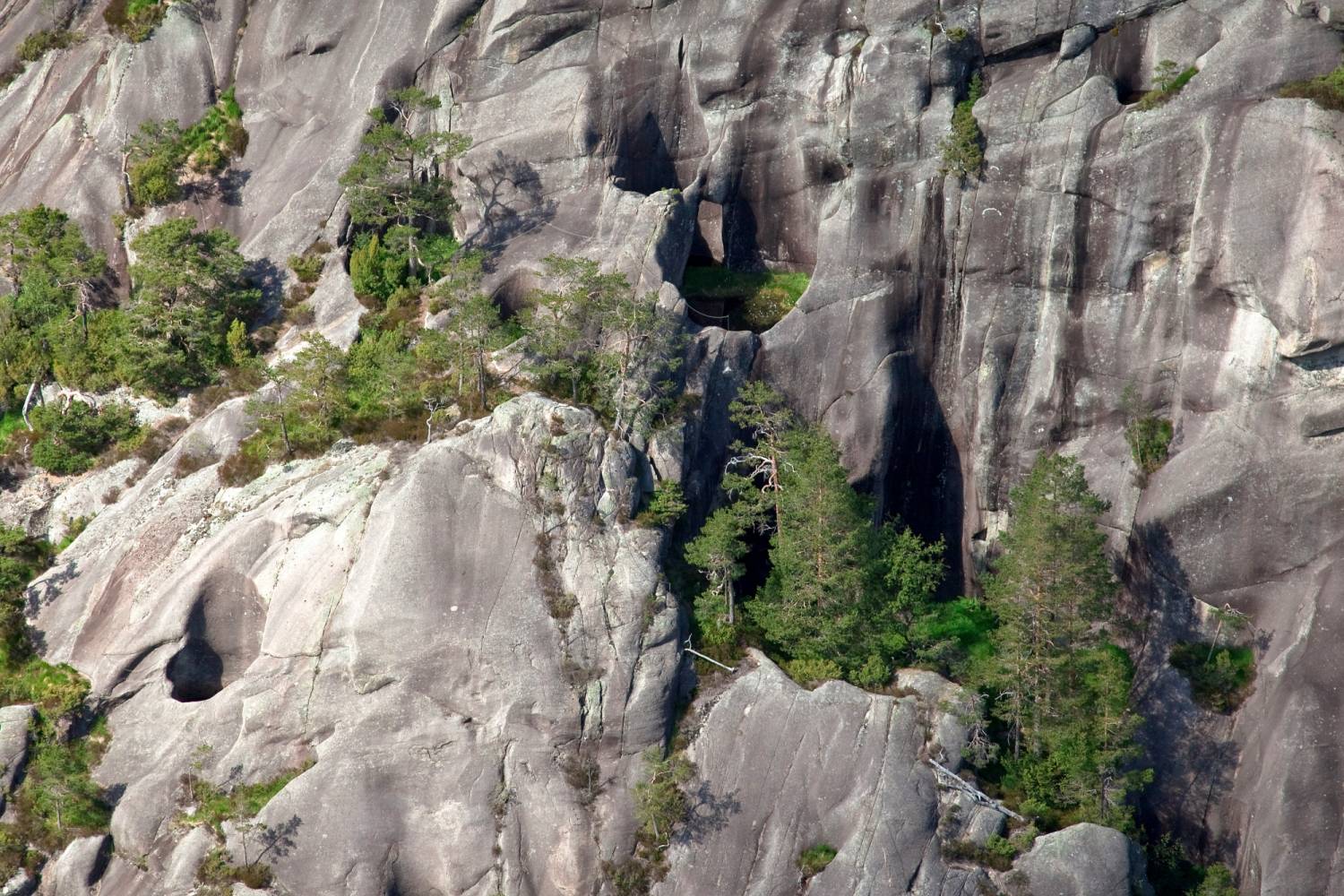 1500x1500-0-70-19bd8f250565ac44d67a1089b