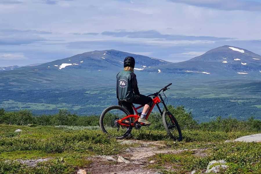 Puls Åre Hyra downhill i Åre