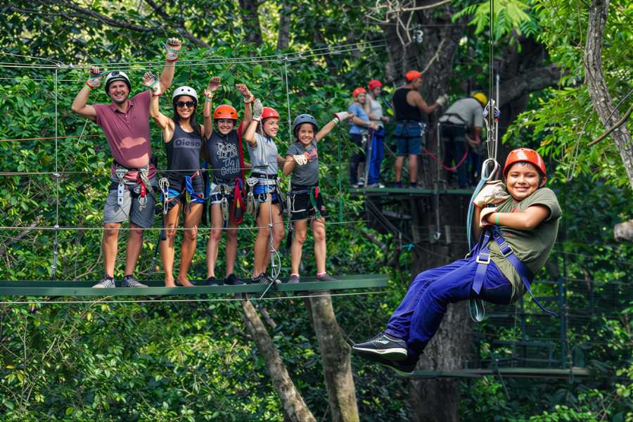 Congo Canopy Original Canopy Zip Line Tour