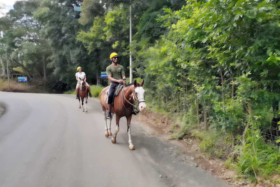 Congo Canopy Horseback Riding Tour