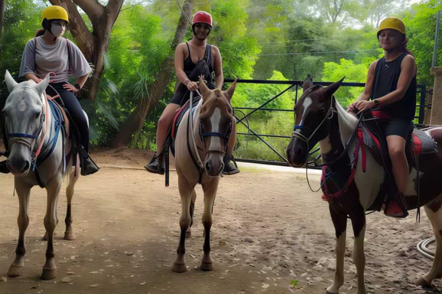 Congo Canopy Horseback Riding Tour
