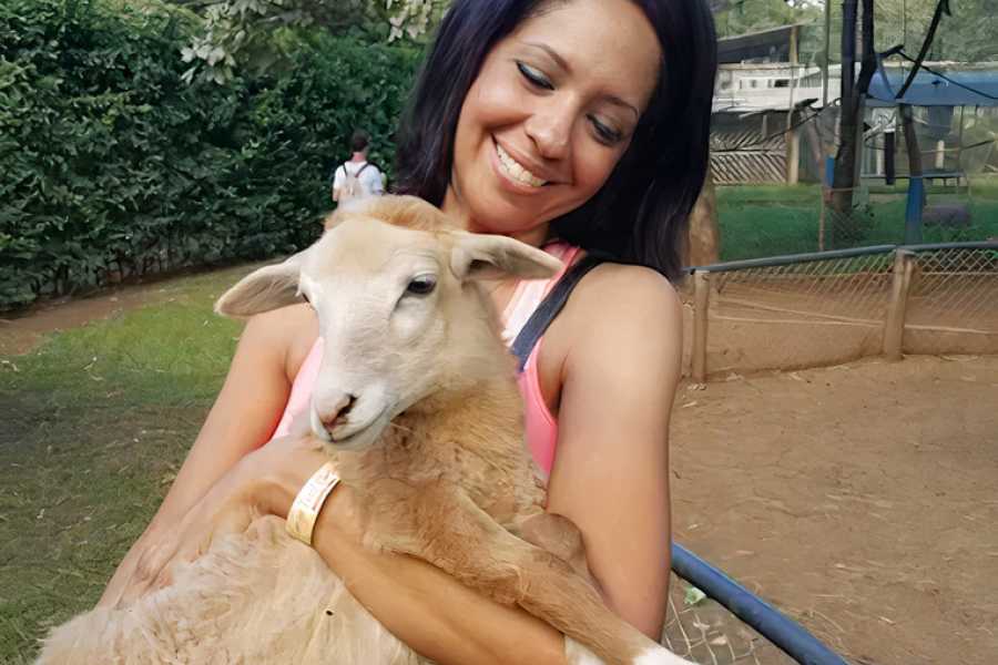 Congo Canopy Monkey and Wildlife Tour