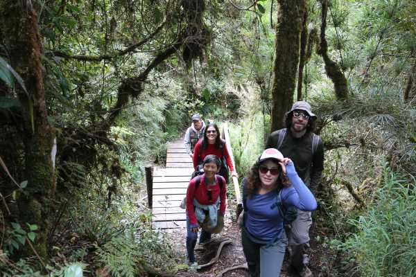 Chingaza Wildlife P&aacute;ramo Adventure