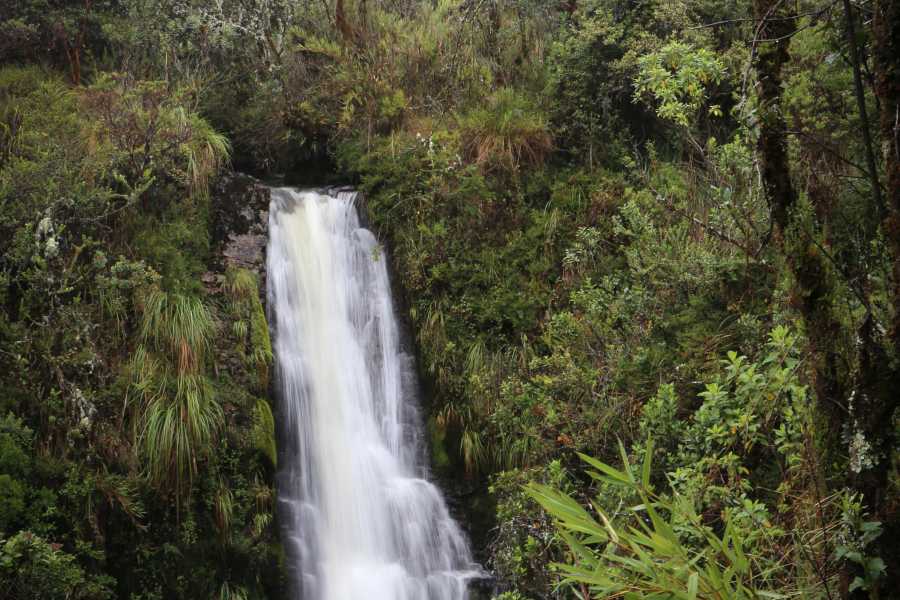 Andes Ecotours Chingaza Wildlife P&aacute;ramo Adventure