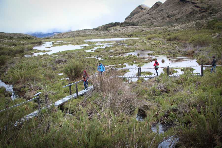 Andes Ecotours Chingaza Wildlife P&aacute;ramo Adventure
