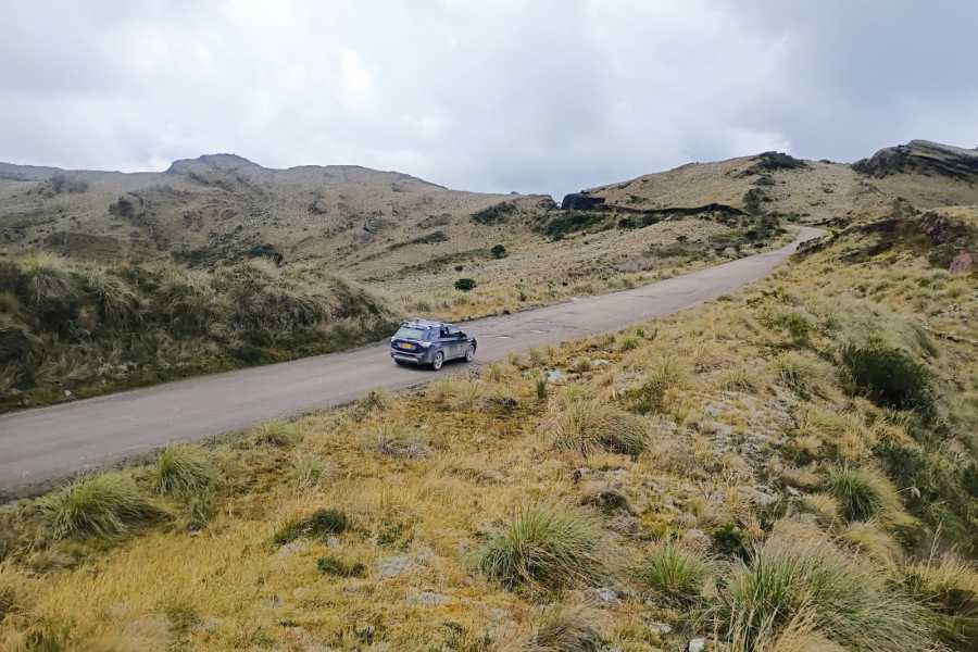 Andes Ecotours Chingaza Wildlife P&aacute;ramo Adventure