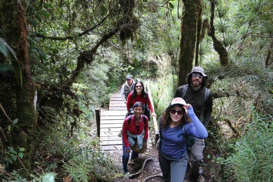 Andes Ecotours Chingaza Wildlife P&aacute;ramo Adventure