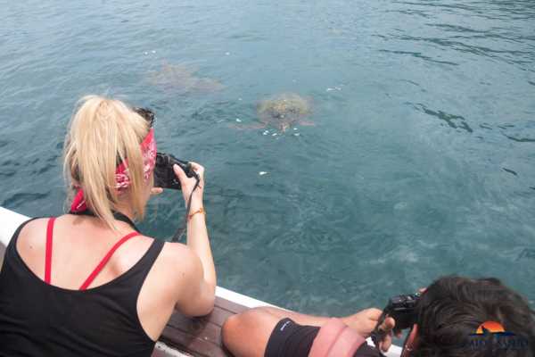 Isla de la Plata Full-Day Tour | Whales, Blue-footed Boobies & Snorkeling