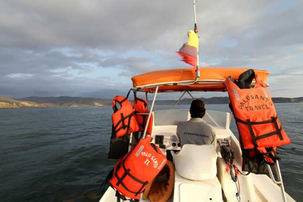 Isla de la Plata Full-Day Tour | Whales, Blue-footed Boobies & Snorkeling