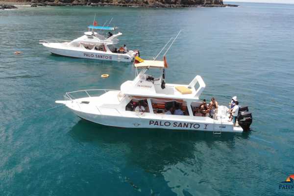 Isla de la Plata Full-Day Tour | Whales, Blue-footed Boobies & Snorkeling