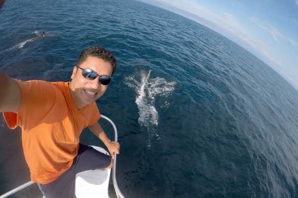 Isla de la Plata Full-Day Tour | Whales, Blue-footed Boobies & Snorkeling