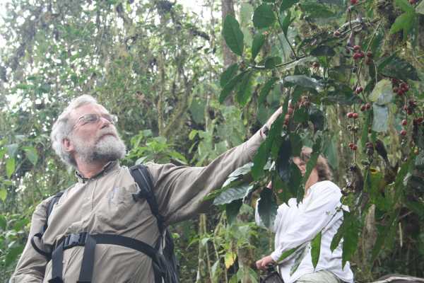 RAINFOREST TOUR | BIRDS | MONKEYS |HORSES AND TREKKING | MACHALILLA PARK