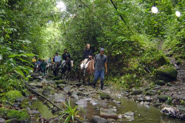 RAINFOREST TOUR | BIRDS | MONKEYS |HORSES AND TREKKING | MACHALILLA PARK