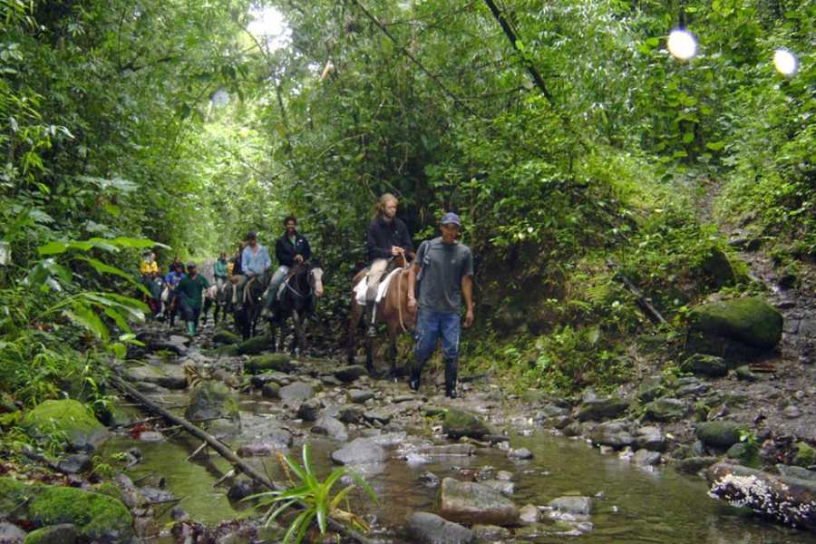 PALO SANTO TRAVEL RAINFOREST TOUR | BIRDS | MONKEYS |HORSES AND TREKKING | MACHALILLA PARK