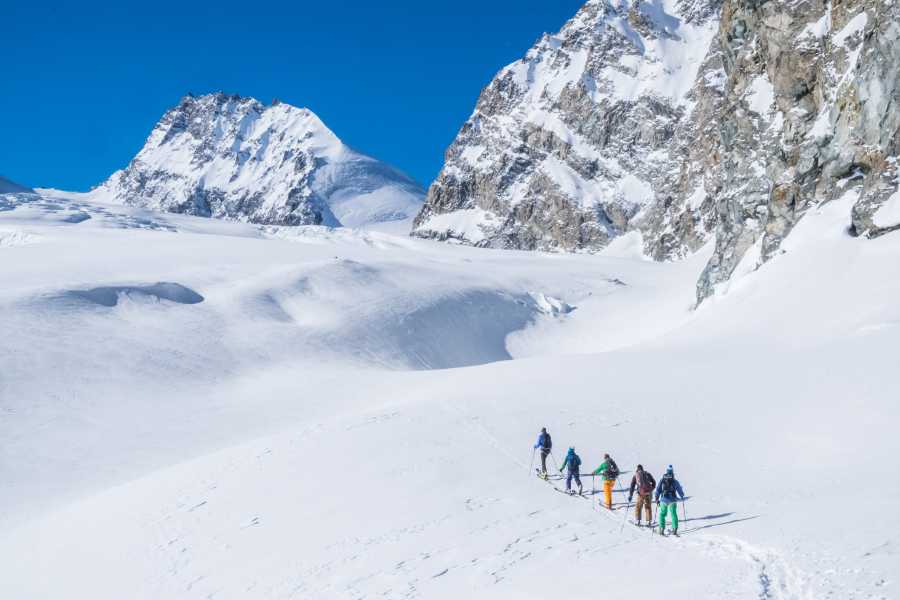 Saas-Fee Guides Skitour Fluchthorn 3795m