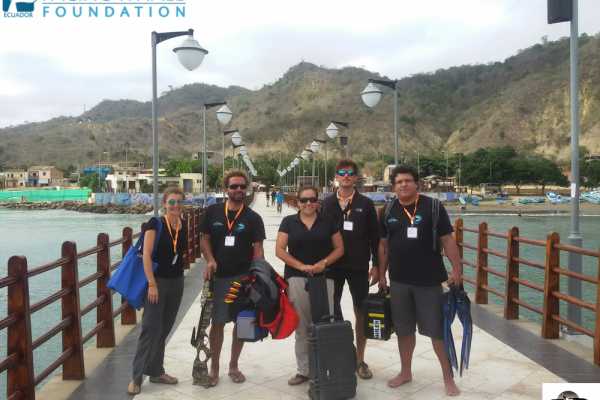 WHALE WATCHING | VIP TOUR | ISLA DE LA PLATA | PUERTO L&Oacute;PEZ ECUADOR
