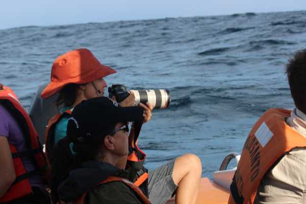 WHALE WATCHING | VIP TOUR | ISLA DE LA PLATA | PUERTO L&Oacute;PEZ ECUADOR