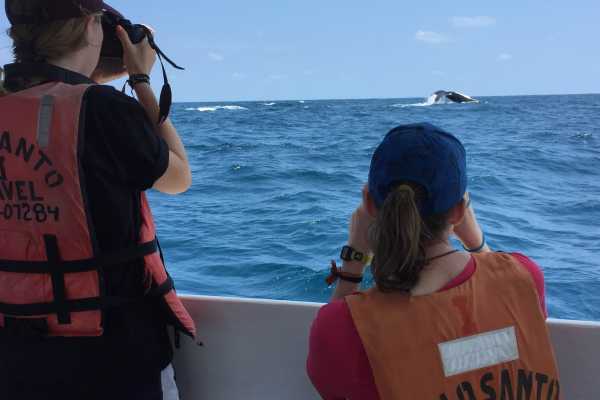 WHALE WATCHING | VIP TOUR | ISLA DE LA PLATA | PUERTO L&Oacute;PEZ ECUADOR