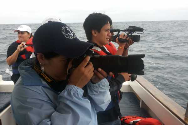 WHALE WATCHING | VIP TOUR | ISLA DE LA PLATA | PUERTO L&Oacute;PEZ ECUADOR