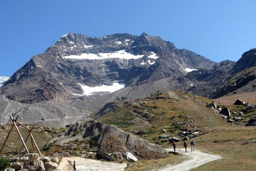 Saas-Fee Guides Lagginhorn 4010m from Weissmies Hut