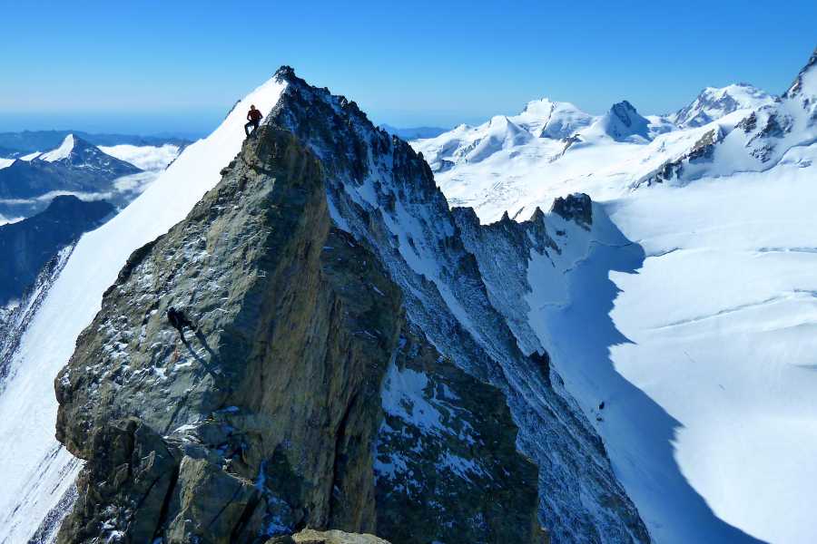 Saas-Fee Guides Nadelhorn 4327m from Mischabel Hut