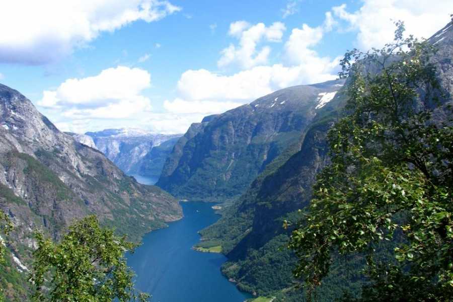 Balestrand Adventure N&aelig;r&oslash;yfjorden RIB Tour