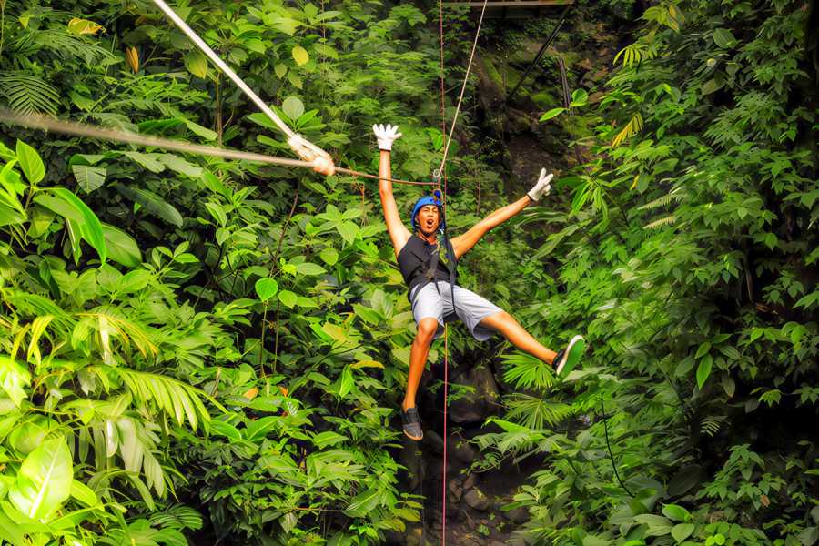 Congo Canopy Original and Extreme Zip Line Combo