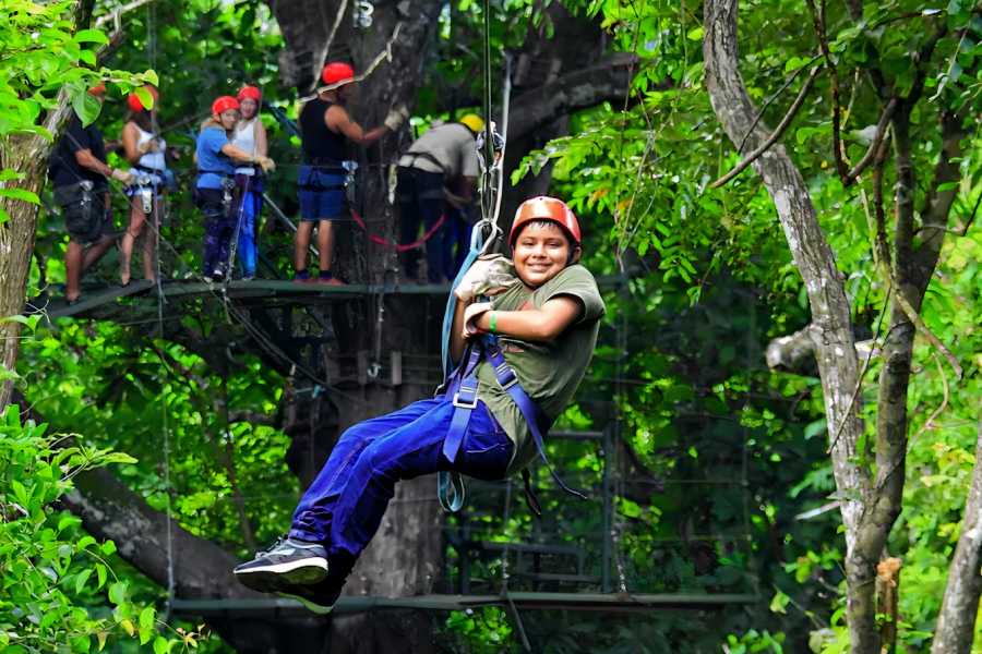 Congo Canopy Original and Extreme Zip Line Combo