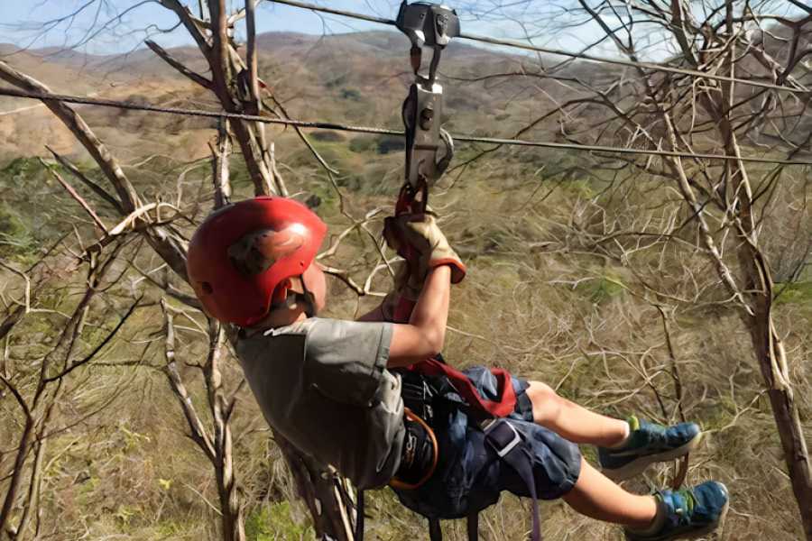 Congo Canopy Original and Extreme Zip Line Combo