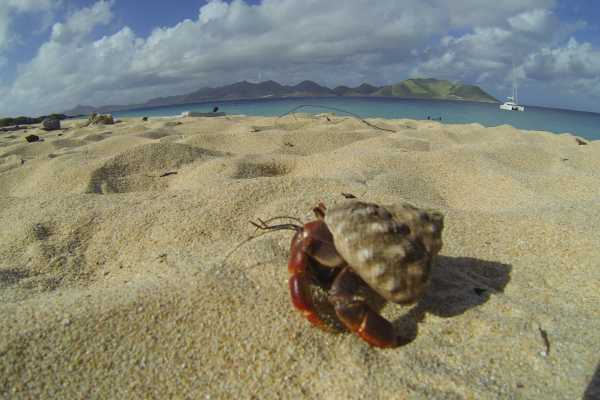 Caribbean islands / St.Martin, St.Barth,...