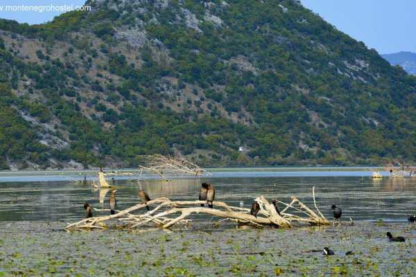 BIG MONTENEGRO TOUR WITH MH TRAVEL