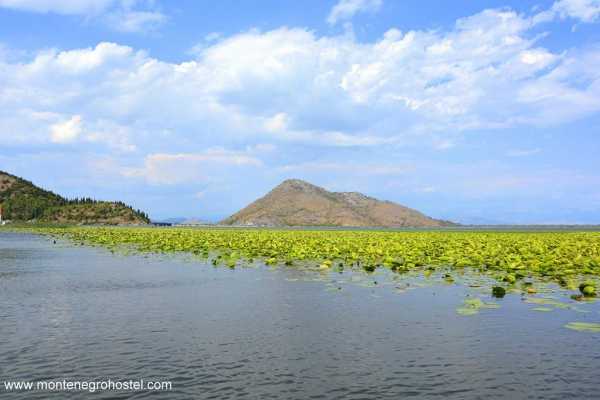 BIG MONTENEGRO TOUR WITH MH TRAVEL