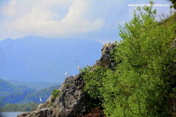 BIG MONTENEGRO TOUR WITH MH TRAVEL