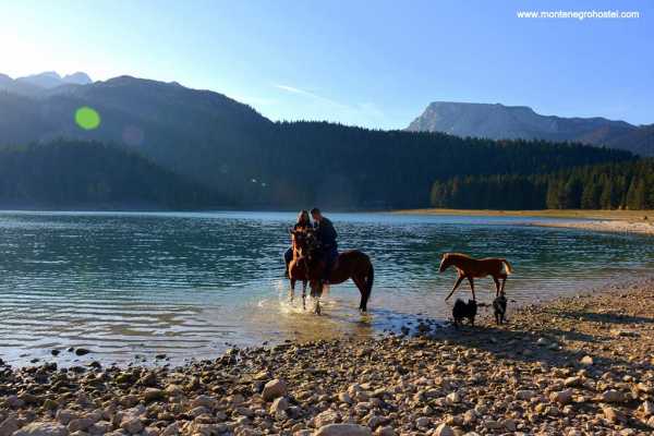 DURMITOR NATIONAL PARK TOUR AND CANYONS WITH MH TRAVEL