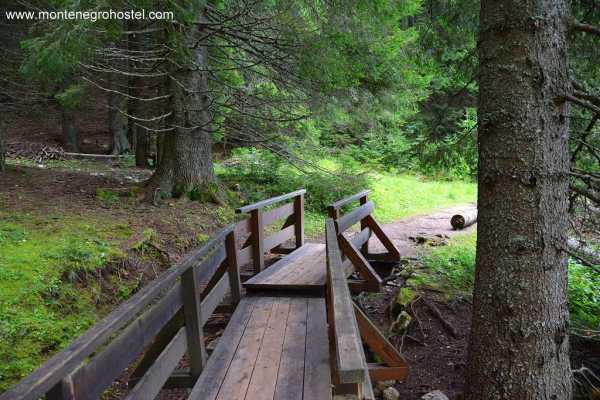 DURMITOR NATIONAL PARK TOUR AND CANYONS WITH MH TRAVEL