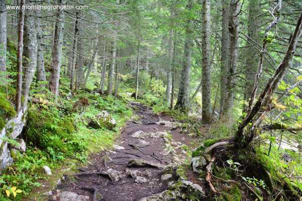 DURMITOR NATIONAL PARK TOUR AND CANYONS WITH MH TRAVEL