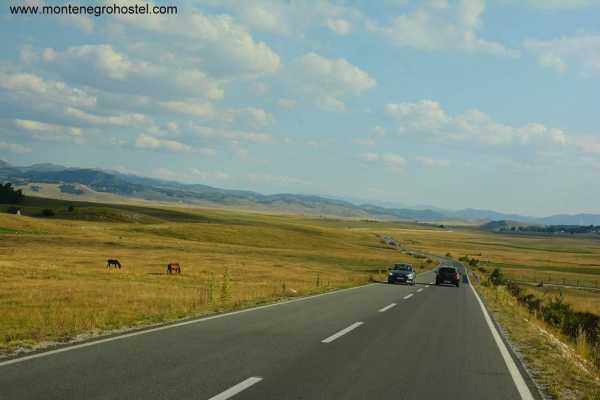 DURMITOR NATIONAL PARK TOUR AND CANYONS WITH MH TRAVEL