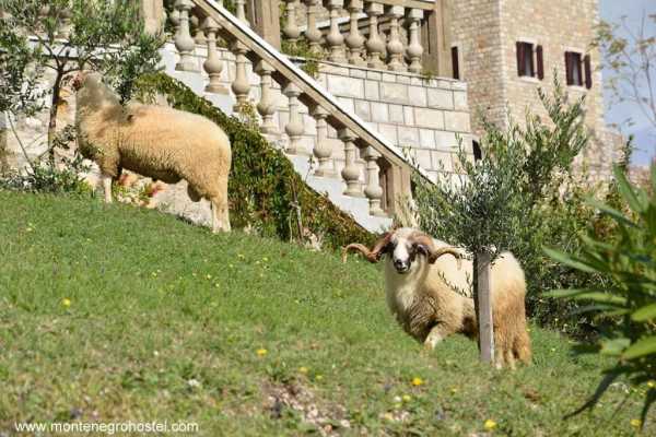 SOUTH MONTENEGRO TOUR WITH MH TRAVEL