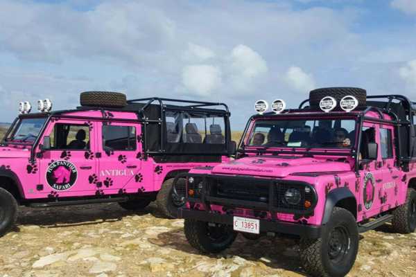 PINEAPPLE BEACH CLUB - PINK PANTHERS EXPEDITIONS