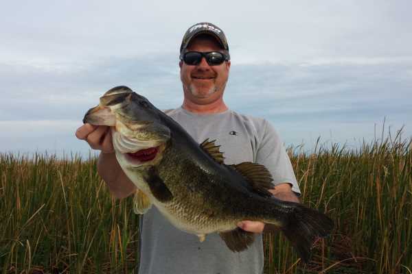 Clewiston Bass Fishing Trip - 12 Hours