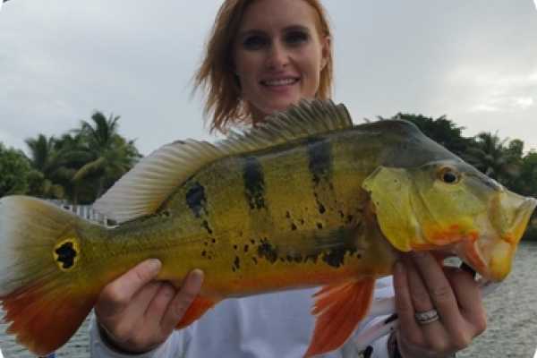 St Johns River Fishing Trip - 6 Hours