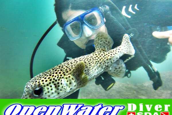 SSI Online Course Open Water