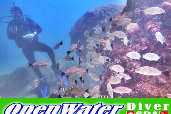 SSI Online Course Open Water